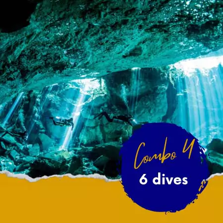 4 tanks,  MUSA, 2 cenotes, and wreck and reef dives