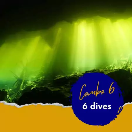 Combo 6 | 6 dives/ wreck, reef , 2 tank cenote, 2 cozumel
