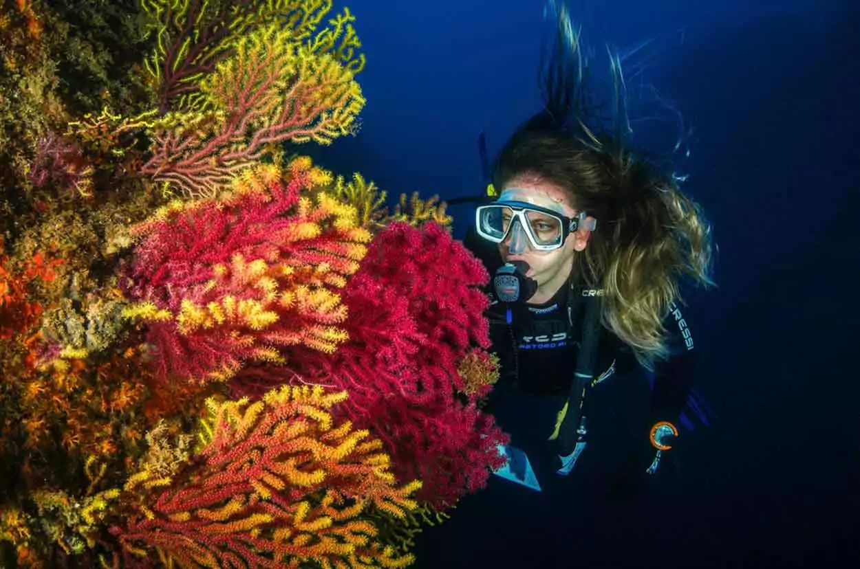 PADI Scuba Diving courses in Cancun