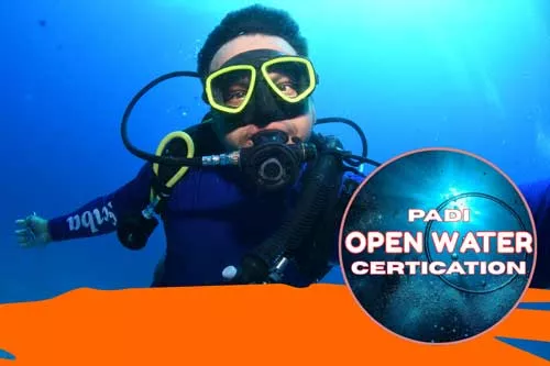 Combo 5 | 6 dives/ 2 tank cozumel, 2 reef dives & 2 tank Cancun, wreck and reef diving 