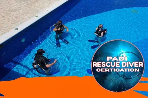 PADI Rescue Diver Course-scuba diving cancun, turtle, coconut divers